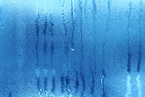 Cover photo for Creating a Safe and Healthy Home Step 3: Eliminate Moisture, Keep it Dry