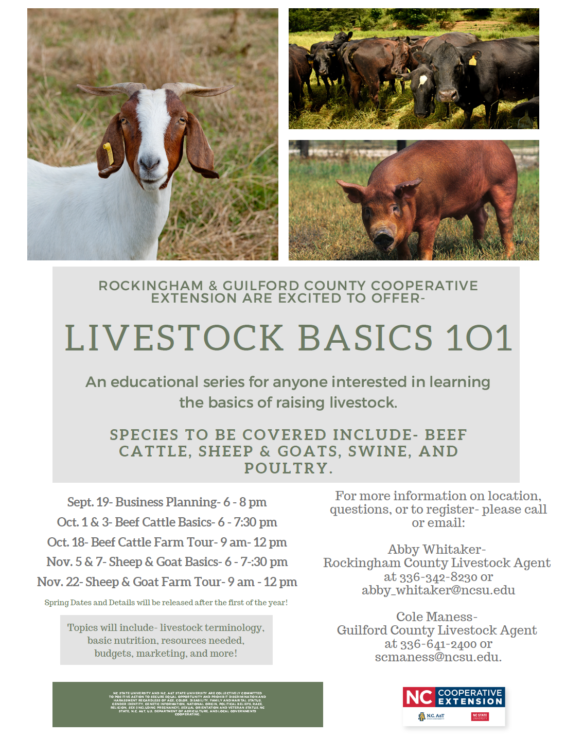 Livestock Basics 101 flyer image