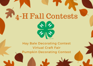 Cover photo for Fall 4-H Contests!