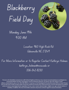 Cover photo for Blackberry Field Day