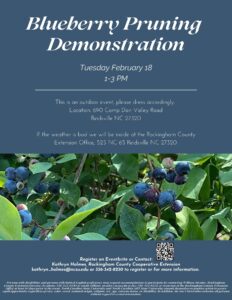 Cover photo for Blueberry Pruning Demonstration