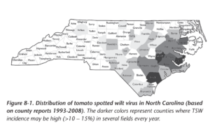 Cover photo for Thrips Flight and TSWV Risk Assessment Report - April 27, 2025